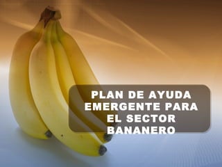 PLAN DE AYUDA
EMERGENTE PARA
EL SECTOR
BANANERO
 