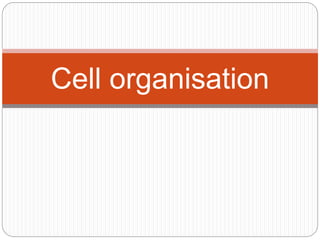Cell organisation
 