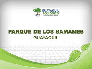 PARQUE DE LOS SAMANES
GUAYAQUIL
 
