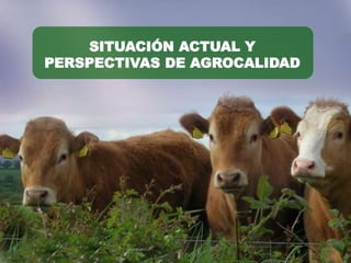 SITUACIÓN ACTUAL Y
PERSPECTIVAS DE AGROCALIDAD
 