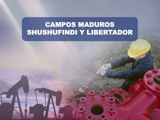CAMPOS MADUROS
SHUSHUFINDI Y LIBERTADOR
 