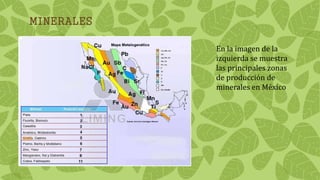 MINERALES
En la imagen de la
izquierda se muestra
las principales zonas
de producción de
minerales en México
 