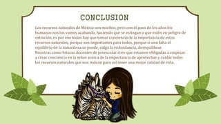 CONCLUSIÓN
Los recursos naturales de México son muchos, pero con el paso de los años los
humanos nos los vamos acabando, haciendo que se extingan o que estén en peligro de
extinción, es por eso todos hay que tomar conciencia de la importancia de estos
recursos naturales, porque son importantes para todos, porque si uno falta el
equilibrio de la naturaleza se puede, valga la redundancia, desequilibrar.
Nosotras como futuras docentes de preescolar creo que estamos obligadas a empezar
a crear conciencia en la niños acerca de la importancia de aprovechar y cuidar todos
los recursos naturales que nos rodean para así tener una mejor calidad de vida.
 
