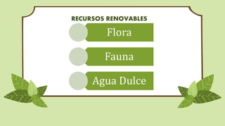 RECURSOS RENOVABLES
Flora
Fauna
Agua Dulce
 