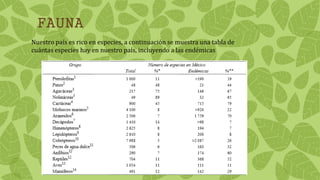FAUNA
Nuestro país es rico en especies, a continuación se muestra una tabla de
cuántas especies hay en nuestro país, incluyendo a las endémicas
 