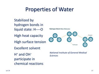 Properties of Water
Stabilized by
hydrogen bonds in
liquid state: H----O
High heat capacity
High surface tension
Excellent solvent
H+ and OH
participate in
chemical reactions
Jul-14 17
National Institute of General Medical
Sciences
 