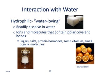Interaction with Water
Hydrophilic- “water-loving”
o Readily dissolve in water
o Ions and molecules that contain polar covalent
bonds
 Sugars, salts, protein hormones, some vitamins, small
organic molecules
Jul-14 19
Courtesy USDA
 
