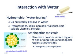 Interaction with Water
Hydrophobic- “water-fearing”
o Do not readily dissolve in water
o Hydrocarbons, lipids, non polar solvents, lipid
soluble vitamins, steroids
Amphipathic molecule
o Have both polar or ionized regions
at one or more sites and nonpolar
regions at other sites
 Detergents are amphipatic
Jul-14 20
Renee Comet NCi
Micelle by SuperManu CC BY-SA 3.0
 