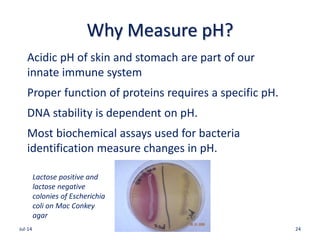 Why Measure pH?
Acidic pH of skin and stomach are part of our
innate immune system
Proper function of proteins requires a specific pH.
DNA stability is dependent on pH.
Most biochemical assays used for bacteria
identification measure changes in pH.
Jul-14 24
Lactose positive and
lactose negative
colonies of Escherichia
coli on Mac Conkey
agar
 