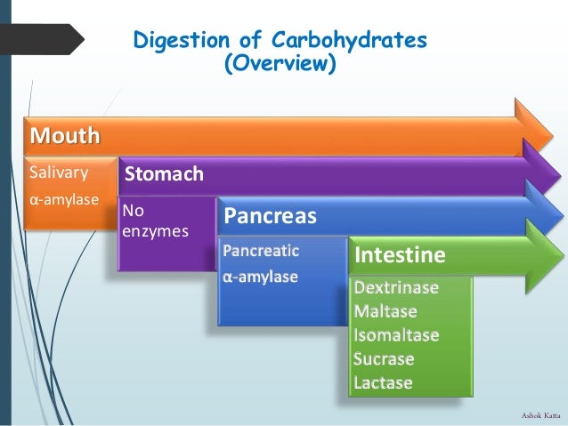 Digestion and Absorption of carbohydrates