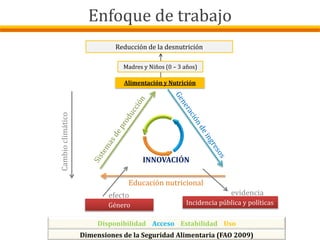 Alimentación y Nutrición
Reducción de la desnutrición
Disponibilidad Acceso Estabilidad Uso
Dimensiones de la Seguridad Alimentaria (FAO 2009)
Educación nutricional
INNOVACIÓN
Incidencia pública y políticas
evidencia
Género
efecto
Cambioclimático Madres y Niños (0 – 3 años)
Enfoque de trabajo
 
