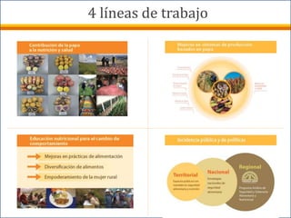 4 líneas de trabajo
 