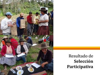 Resultado de
Selección
Participativa
 