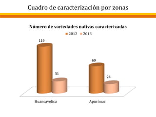Cuadro de caracterización por zonas
Huancavelica Apurímac
119
69
31
24
Número de variedades nativas caracterizadas
2012 2013
 