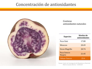 Especies
Niveles de
antioxidantes
Puca Simi 17.88
Wenccos 20.49
Occes Wagrillo 20.74
Puca Soncco
Huayro
21.45
Yahuar Soncco 23.4
Contiene
antioxidantes naturales
Fuente: Centro de Investigación de Bioquímica y Nutrición
Alberto Guzmán Barrón – U.N.M.S.M
Concentración de antioxidantes
 