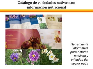 Catálogo de variedades nativas con
información nutricional
Herramienta
informativa
para actores
públicos y
privados del
sector papa
 