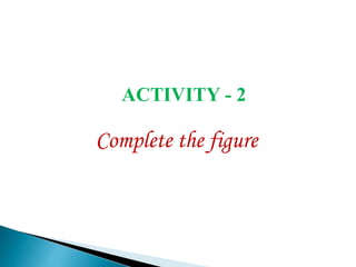 ACTIVITY - 2
Complete the figure
 