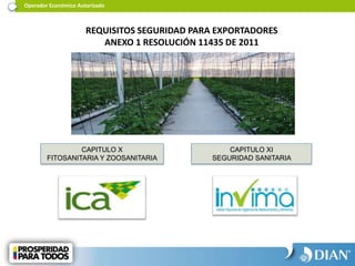 Operador Económico Autorizado
REQUISITOS SEGURIDAD PARA EXPORTADORES
ANEXO 1 RESOLUCIÓN 11435 DE 2011
CAPITULO X
FITOSANITARIA Y ZOOSANITARIA
CAPITULO XI
SEGURIDAD SANITARIA
 