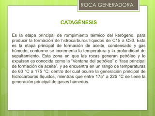 CATAGÉNESIS
Es la etapa principal de rompimiento térmico del kerógeno, para
producir la formación de hidrocarburos líquidos de C15 a C30. Esta
es la etapa principal de formación de aceite, condensado y gas
húmedo, conforme se incrementa la temperatura y la profundidad de
sepultamiento. Esta zona en que las rocas generan petróleo y lo
expulsan es conocida como la “Ventana del petróleo” o “fase principal
de formación de aceite”, y se encuentra en un rango de temperaturas
de 60 °C a 175 °C, dentro del cual ocurre la generación principal de
hidrocarburos líquidos, mientras que entre 175° a 225 °C se tiene la
generación principal de gases húmedos.
 