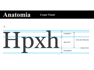Anatomia Corpo Visual
 