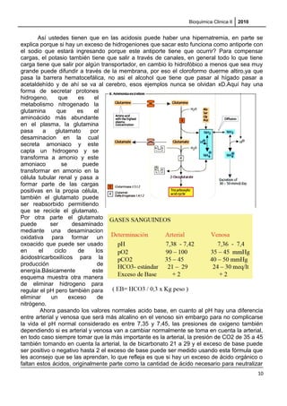 Bioquimica Clinica II 2010
Así ustedes tienen que en las acidosis puede haber una hipernatremia, en parte se
explica porque si hay un exceso de hidrogeniones que sacar esto funciona como antiporte con
el sodio que estará ingresando porque este antiporte tiene que ocurrir? Para compensar
cargas, el potasio también tiene que salir a través de canales, en general todo lo que tiene
carga tiene que salir por algún transportador, en cambio lo hidrofóbico a menos que sea muy
grande puede difundir a través de la membrana, por eso el cloroformo duerme altiro,ya que
pasa la barrera hematocefálica, no asi el alcohol que tiene que pasar al hígado pasar a
acetaldehído y de ahí se va al cerebro, esos ejemplos nunca se olvidan xD.Aquí hay una
forma de secretar protones
hidrogeno, que es el
metabolismo nitrogenado la
glutamina que es el
aminoácido más abundante
en el plasma, la glutamina
pasa a glutamato por
desaminacion en la cual
secreta amoniaco y este
capta un hidrogeno y se
transforma a amonio y este
amoniaco se puede
transformar en amonio en la
célula tubular renal y pasa a
formar parte de las cargas
positivas en la propia célula,
también el glutamato puede
ser reabsorbido permitiendo
que se recicle el glutamato.
Por otra parte el glutamato
puede ser desaminado
mediante una desaminacion
oxidativa para formar un
oxoacido que puede ser usado
en el ciclo de los
ácidostricarboxilícos para la
producción de
energía.Básicamente este
esquema muestra otra manera
de eliminar hidrogeno para
regular el pH pero también para
eliminar un exceso de
nitrógeno.
Ahora pasando los valores normales acido base, en cuanto al pH hay una diferencia
entre arterial y venosa que será más alcalino en el venoso sin embargo para no complicarse
la vida el pH normal considerado es entre 7,35 y 7,45, las presiones de oxigeno también
dependiendo si es arterial y venosa van a cambiar normalmente se toma en cuenta la arterial,
en todo caso siempre tomar que la más importante es la arterial, la presión de CO2 de 35 a 45
también tomando en cuenta la arterial, la de bicarbonato 21 a 29 y el exceso de base puede
ser positivo o negativo hasta 2 el exceso de base puede ser medido usando esta fórmula que
les aconsejo que se las aprendan, lo que refleja es que si hay un exceso de ácido orgánico o
faltan estos ácidos, originalmente parte como la cantidad de ácido necesario para neutralizar
10
 