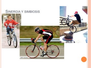SINERGIA Y SIMBIOSIS
 