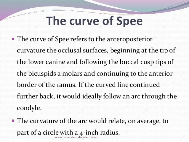 curve of spee