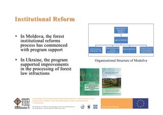 12
Institutional Reform
• In Moldova, the forest
institutional reforms
process has commenced
with program support
• In Ukraine, the program
supported improvements
in the processing of forest
law infractions
Government of
Republic of
Moldova
Agency Moldsilva
Stare Forestry
Enterprises - 16
State Forestry and
Hunting
Enterprises - 4
Natural Reserves -
4
Forestry Research
and Management
Institute (ICAS)
Organizational Structure of Modsilva
 