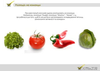 Розподіл на команди
При реєстрації учасників одразу розподіляють на команди.
Наприклад, команда “Ендівій, команда “Мохітос”, “Кемрі” і т.д.
Це робиться для того, щоб їх легше було організовувати на відвідування теплиць,
різноманітні активності та конкурси.
 