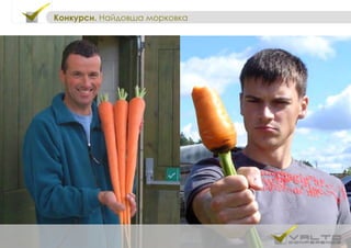 Конкурси. Найдовша морковка
 