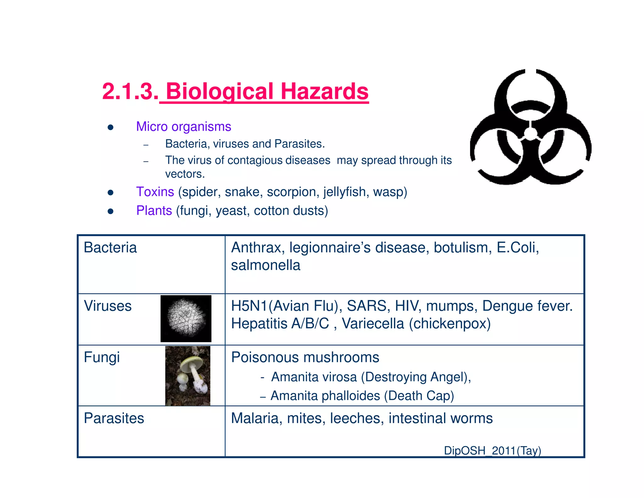 2.1.3. Biological Hazards
Micro organisms
– Bacteria, viruses and Parasites.
– The virus of contagious diseases may spread through its
vectors.
Toxins (spider, snake, scorpion, jellyfish, wasp)
Plants (fungi, yeast, cotton dusts)
Bacteria Anthrax, legionnaire’s disease, botulism, E.Coli,Bacteria Anthrax, legionnaire’s disease, botulism, E.Coli,
salmonella
Viruses H5N1(Avian Flu), SARS, HIV, mumps, Dengue fever.
Hepatitis A/B/C , Variecella (chickenpox)
Fungi Poisonous mushrooms
- Amanita virosa (Destroying Angel),
– Amanita phalloides (Death Cap)
Parasites Malaria, mites, leeches, intestinal worms
25 DipOSH_2011(Tay)
 