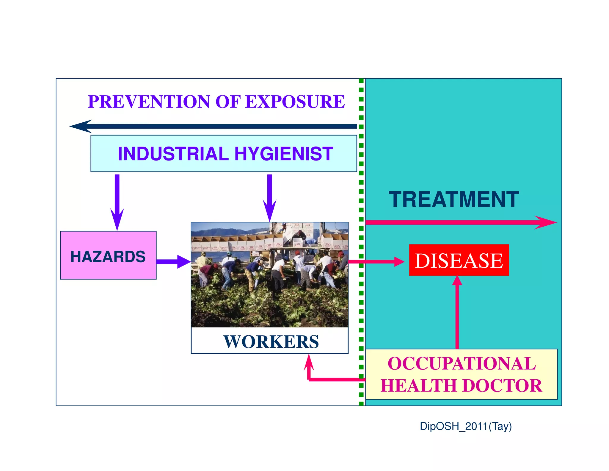 PREVENTION OF EXPOSURE
INDUSTRIAL HYGIENIST
TREATMENT
OCCUPATIONAL
HEALTH DOCTOR
DISEASE
WORKERS
HAZARDS
6 DipOSH_2011(Tay)
 