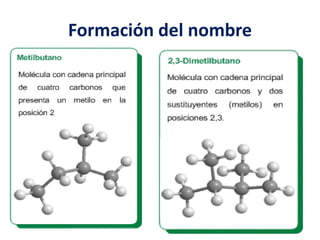 Formación del nombre 
 