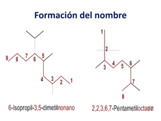 Formación del nombre 
 