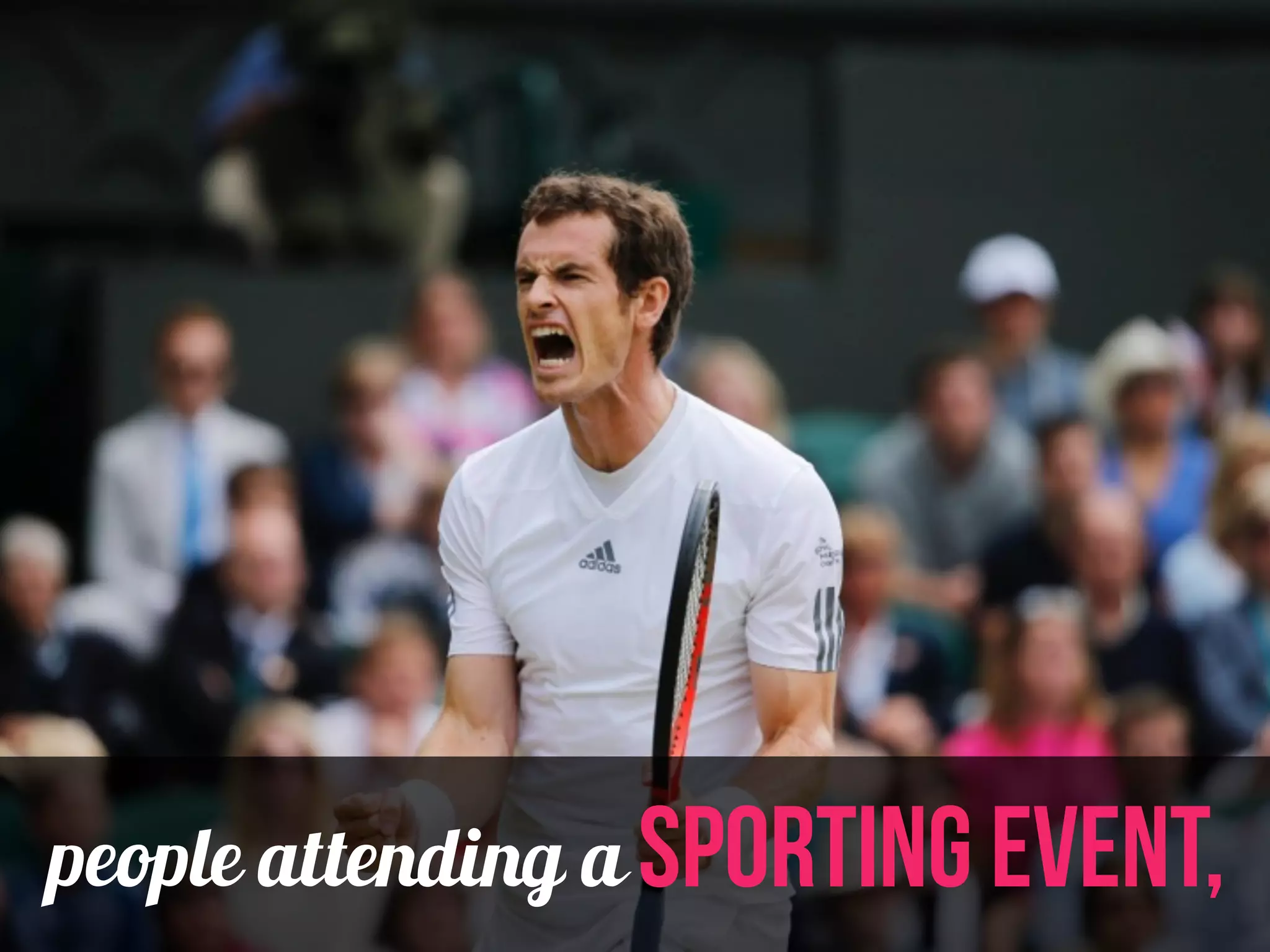 people attending a sporting event, 
 