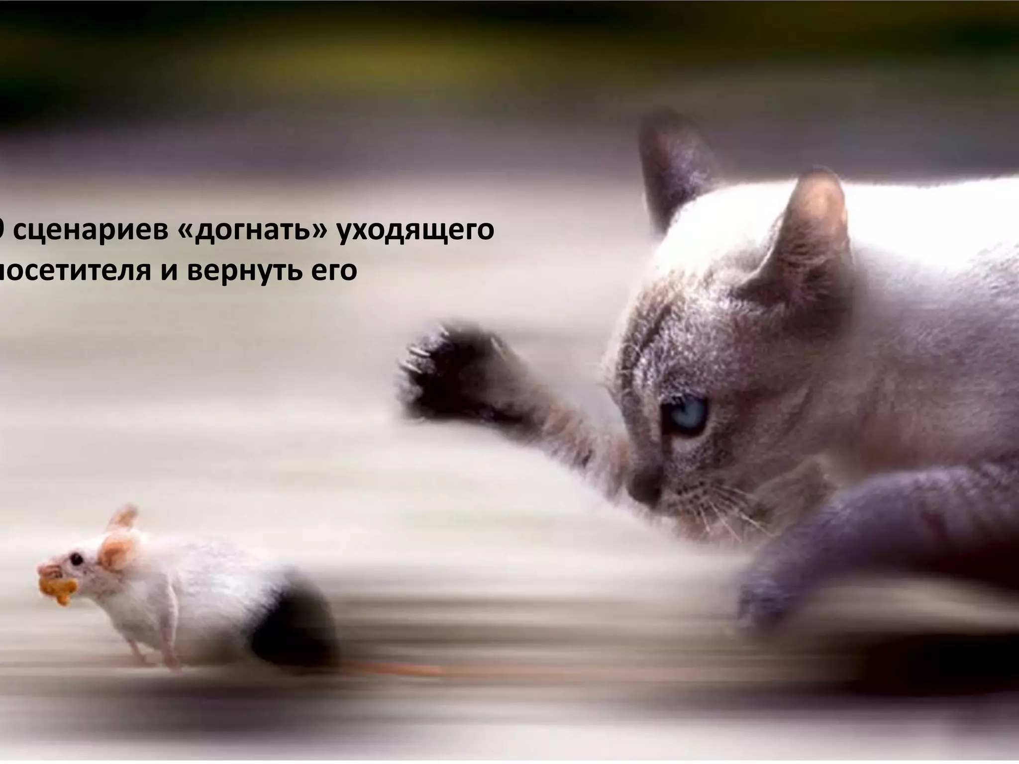 9 сценариев «догнать» уходящего 
посетителя и вернуть его 
 