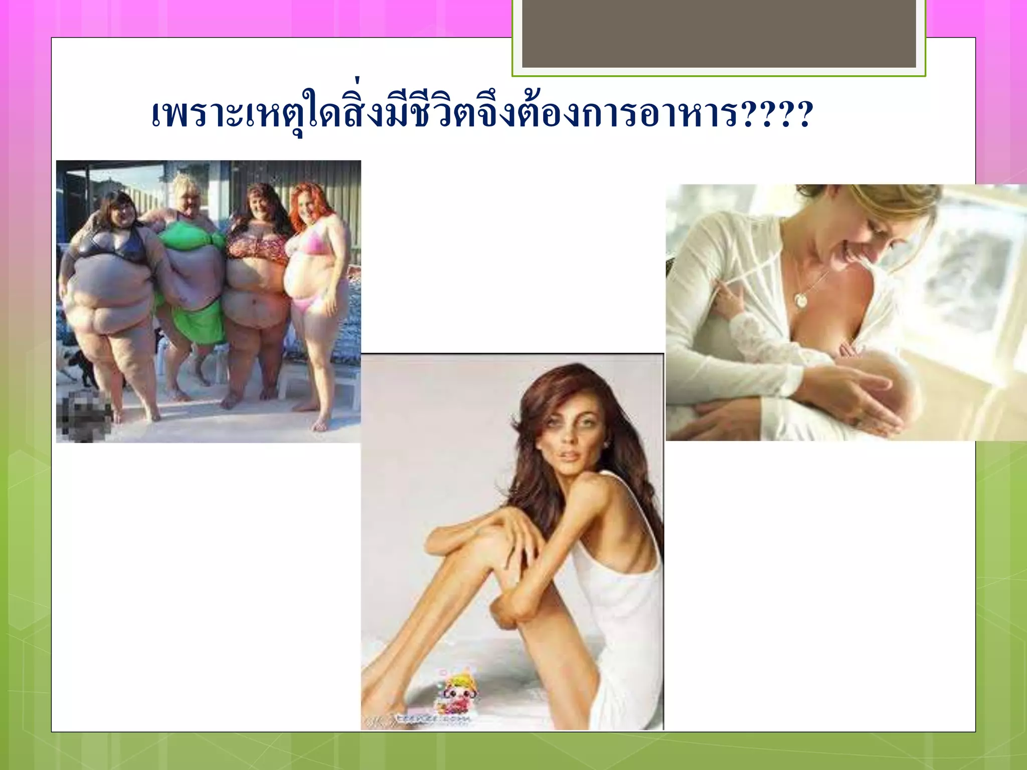 เพราะเหตุใดสิ่งมีชีวิตจึงต้องการอาหาร???? 
 