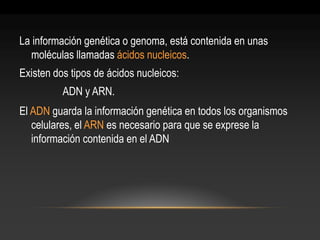 La información genética o genoma, está contenida en unas moléculas llamadas ácidos nucleicos. 
Existen dos tipos de ácidos nucleicos: 
ADN y ARN. 
El ADN guarda la información genética en todos los organismos celulares, el ARN es necesario para que se exprese la información contenida en el ADN  