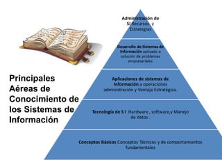 Principales 
Aéreas de 
Conocimiento de 
los Sistemas de 
Información 
 