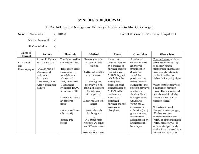 2. synthesis of journal