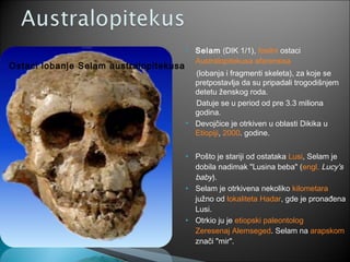  Selam (DIK 1/1), fosilni ostaci 
Australopitekusa afarensisa 
(lobanja i fragmenti skeleta), za koje se 
pretpostavlja da su pripadali trogodišnjem 
detetu ženskog roda. 
Datuje se u period od pre 3.3 miliona 
godina. 
 Devojčice je otrkiven u oblasti Dikika u 
Etiopiji, 2000. godine. 
 Pošto je stariji od ostataka Lusi, Selam je 
dobila nadimak "Lusina beba" (engl. Lucy's 
baby). 
 Selam je otrkivena nekoliko kilometara 
južno od lokaliteta Hadar, gde je pronađena 
Lusi. 
 Otrkio ju je etiopski paleontolog 
Zeresenaj Alemseged. Selam na arapskom 
znači "mir". 
Ostaci lobanje Selam australopitekusa 
 