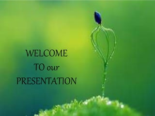 WELCOME 
TO our 
PRESENTATION 
 