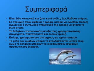 Συμπεριφορά 
• Είναι ζώα κοινωνικά και ζουν κατά αγέλες έως δώδεκα ατόμων. 
• Σε περιοχές όπου αφθονεί η τροφή, μπορεί να ενωθούν πολλές 
αγέλες και ο συνολικός πληθυσμός της ομάδας να φτάσει τα 
χίλια άτομα. 
• Τα δελφίνια επικοινωνούν μεταξύ τους χρησιμοποιώντας 
σφυρίγματα, πλαταγίσματα και άλλους ήχους. 
• Επίσης, χρησιμοποιούν υπέρηχους για ηχοεντοπισμό. 
• Τα μέλη των ομάδων μπορεί να εναλλάσσονται μεταξύ τους, 
όμως τα δελφίνια μπορούν να οικοδομήσουν ισχυρούς 
προσωπικούς δεσμούς. 
 
