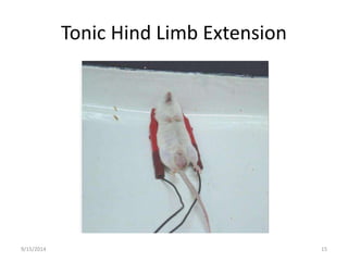 Tonic Hind Limb Extension 
9/15/2014 15 
 