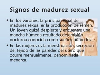 Signos de madurez sexual 
• En los varones, la principal señal de 
madurez sexual es la producción de semen. 
Un joven quizá despierte y encuentre una 
mancha húmeda resultado de emisión 
nocturna conocida como sueños húmedos. 
• En las mujeres es la menstruación, secreción 
del tejido de las paredes del útero que 
ocurre mensualmente, denominada 
menarca. 
 