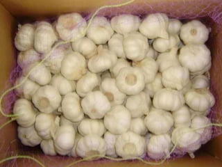 Сушіння як метод консервування харчових 
продуктів має багато позитивних якостей: 
технологія і апаратура досить прості; маса і об'єм 
сировини в процесі сушіння зменшуються в 
декілька разів, чим досягається значна економія 
тари, площ для зберігання і транспортних 
засобів; сушені продукти не дуже вибагливі до 
умов зберігання, не потребують герметичного 
пакування, особливих сховищ. Проте якість 
сушеної продукції, особливо плодів і овочів, як 
правило, не дуже висока. Основний недолік 
полягає в поганому відновленні їх природних 
властивостей. Багато видів сушених плодів і 
овочів погано набухають під час варіння, 
залишаються зморшкуватими і жорсткими. 
 