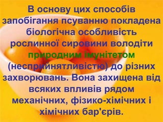 В основу цих способів 
запобігання псуванню покладена 
біологічна особливість 
рослинної сировини володіти 
природним імунітетом 
(несприйнятливістю) до різних 
захворювань. Вона захищена від 
всяких впливів рядом 
механічних, фізико-хімічних і 
хімічних бар'єрів. 
 