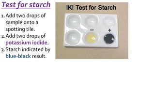 AS-U1-2.3 Carbohydrates-disaccharides and polysaccharides | PPTX