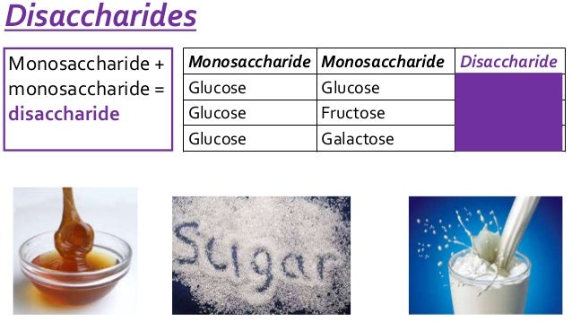 AS-U1-2.3 Carbohydrate...