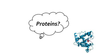 Proteins? 
 